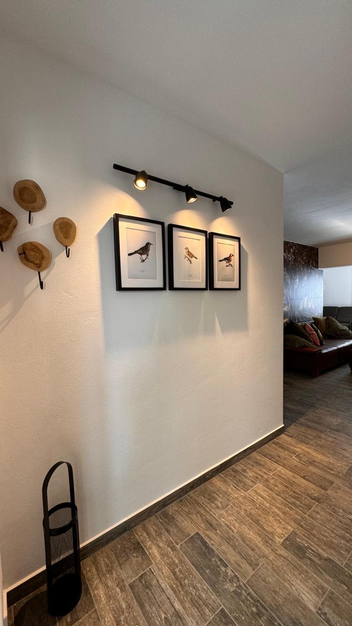 Apartment With A Terrace Forest Home Lullula Veprinac エクステリア 写真
