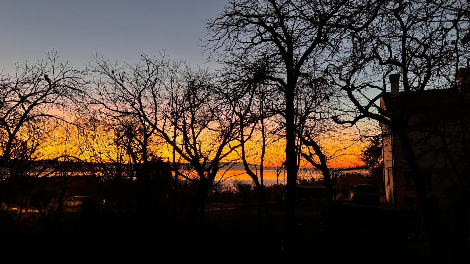 Apartment With A Terrace Forest Home Lullula Veprinac エクステリア 写真